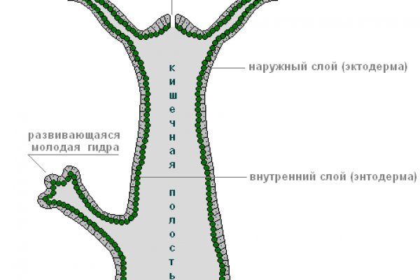 Kraken12 at сайт