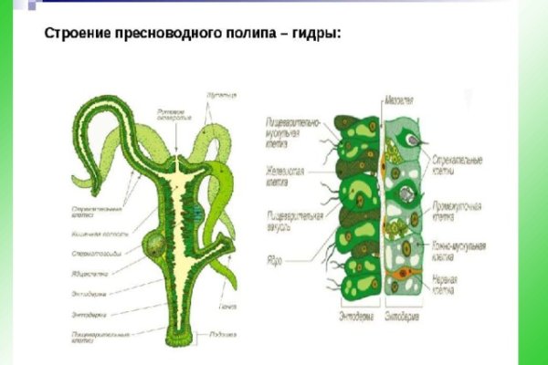 Кракен 17 af