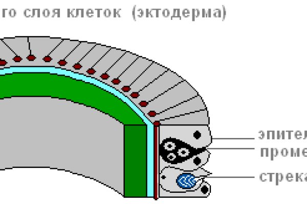 Кракен клир ссылка